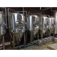 中小型精釀啤酒設(shè)備廠家 釀酒啤酒設(shè)備 500升設(shè)備