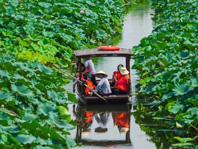 蘇州少兒暑假夏令營賞千畝荷花人與自然探索體驗(yàn)營活動(dòng)拓展報(bào)名中